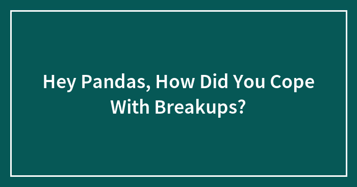 Hey Pandas, How Did You Cope With Breakups? (Closed)