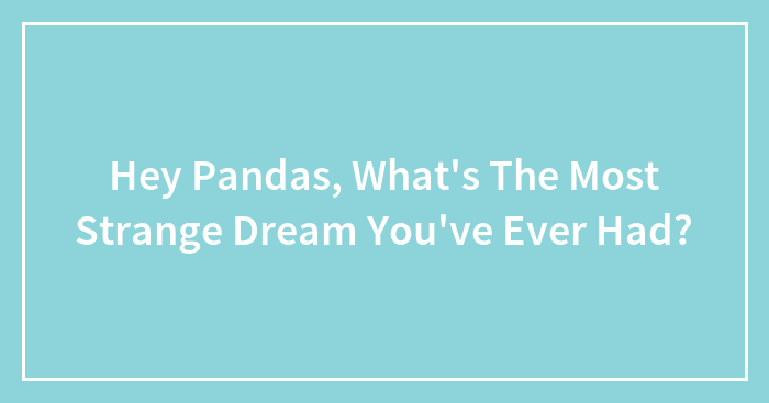 Hey Pandas, What’s The Most Strange Dream You’ve Ever Had? (Closed)