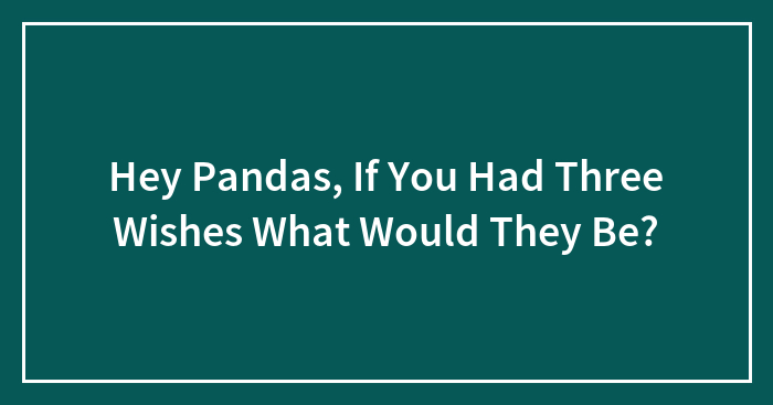 Hey Pandas, If You Had Three Wishes What Would They Be? (Closed)