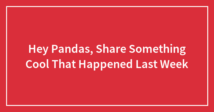 Hey Pandas, Share Something Cool That Happened Last Week (Closed)