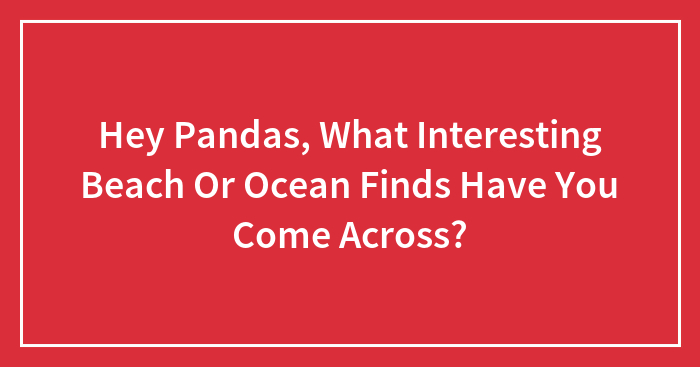 Hey Pandas, What Interesting Beach Or Ocean Finds Have You Come Across? (Closed)