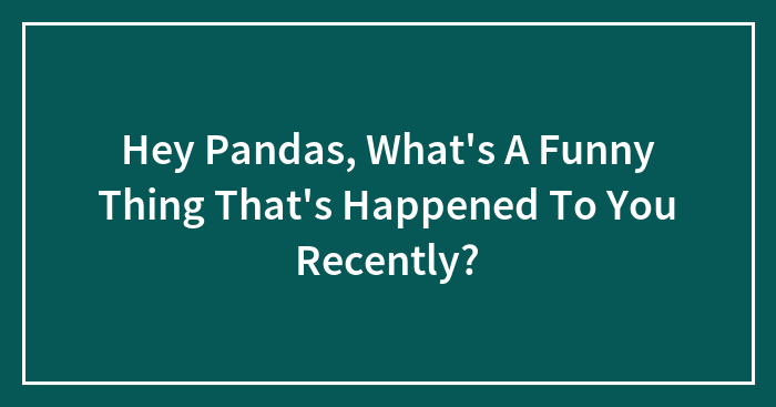 Hey Pandas, What’s A Funny Thing That’s Happened To You Recently? (Closed)