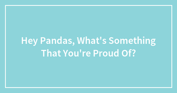 Hey Pandas, What’s Something That You’re Proud Of? (Closed)