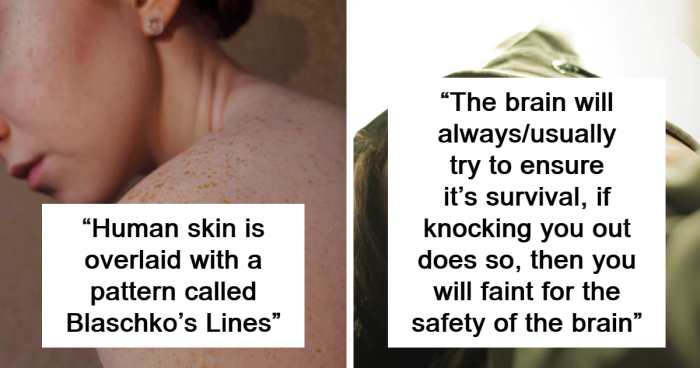 54 Internet Users Share The Bizarre Facts They Know About The Human Body