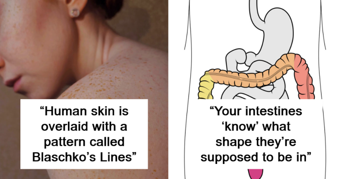 54 Cool But Pretty Disturbing Facts About The Human Body That Not Many People Know About