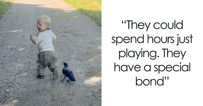 Netizens Stunned To See That A Wild Crow Has Become The Best Of Friends With A 2 Y.O. Kiddo