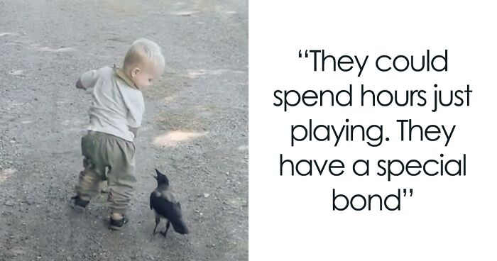 “They Have A Special Bond”: A 2-Year-Old Boy And His Crow