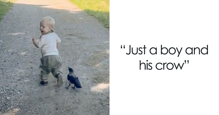 The World Is Going Crazy About The Special Bond Between A 2 Y.O. Boy And Wild Crow