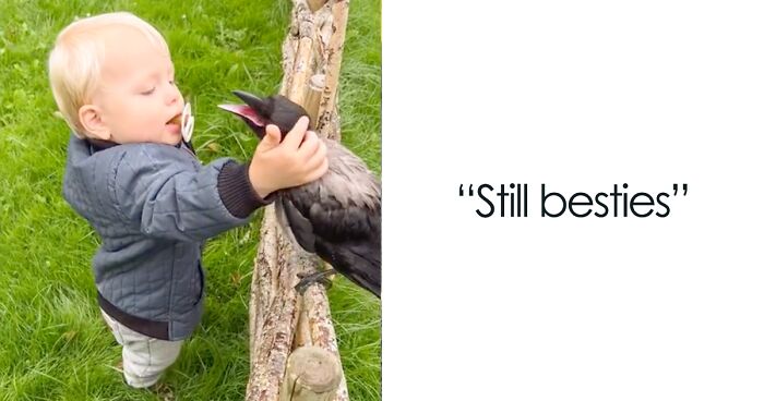 “They Have A Special Bond”: A 2-Year-Old Boy And His Crow