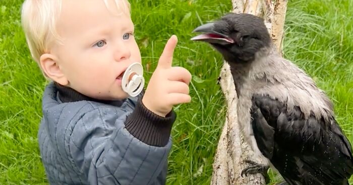 Russell Is A Wild Bird But He Would Never Leave 2-Year-Old Otto’s Side