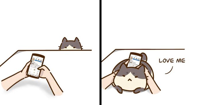 19 Wholesome Comics By Olive Yong Showing The Sweet And Naughty Side Of Chubby Cats