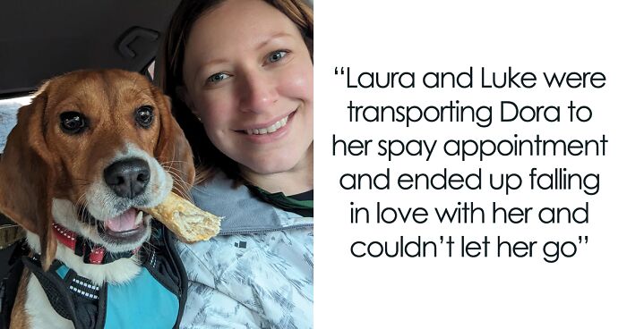 Meet Dora, The Beagle Who Was Rescued From A Lab And Was Given A Chance At A New Life