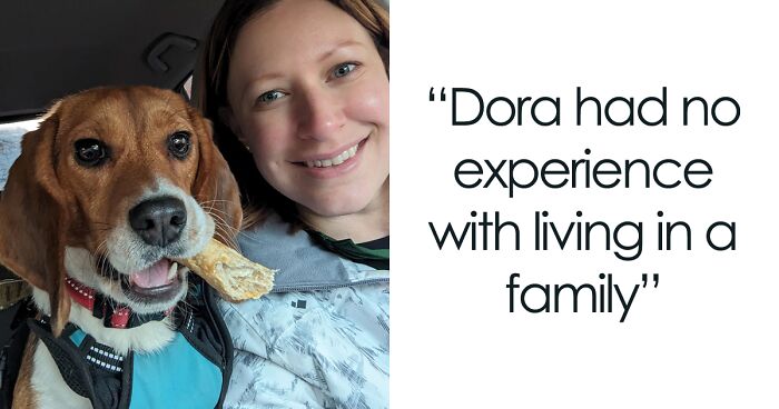 Meet Dora, The Beagle Who Was Rescued From A Laboratory And Now Lives In A Loving Home