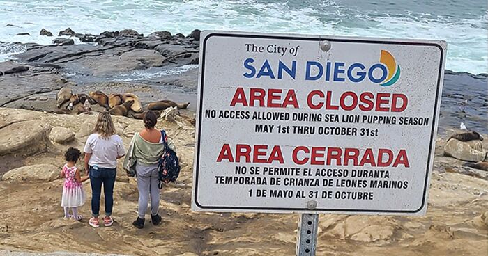 76 Times Disrespectful Tourists Disregarded All The Rules