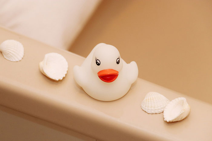 toy duck near shells on the bath