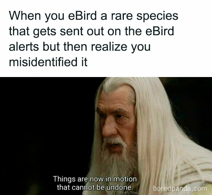 Funny-Birding-Memes