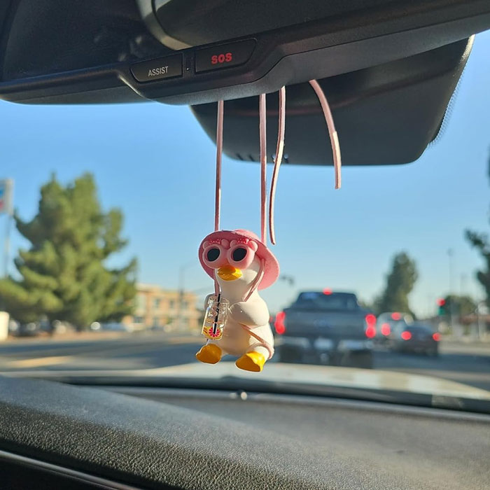 Jazz Up Your Car With This Fun, Swinging Duck Ornament - For The Girl Who Loves A Quirky Touch!