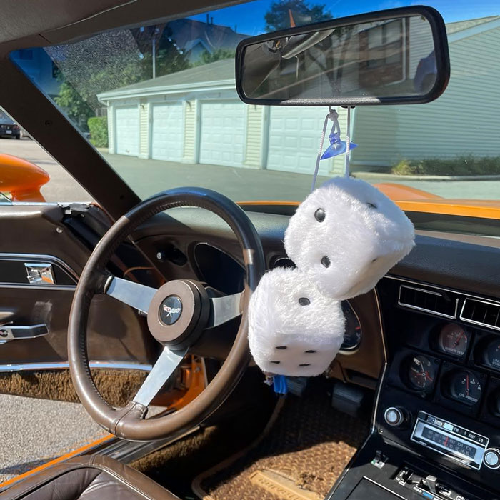 Decorate Your Ride With These Too-Cute-To-Handle Furry Dice – A Quirky Blast From The Past!