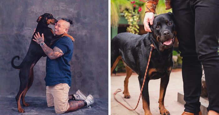 I’m A Photographer Who Captured 14 Heartwarming Portraits Of Dogs And Their Humans