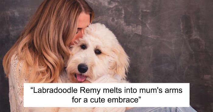 My 14 Heartwarming Pics Showcasing The Bond Between Dogs And Their Humans