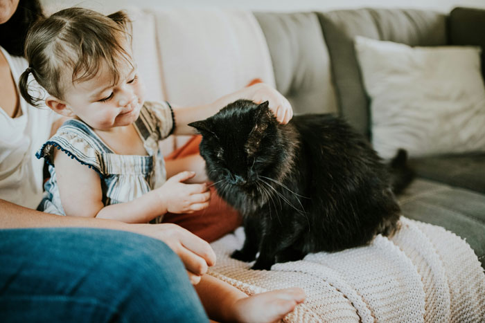 a little girl petting the cat