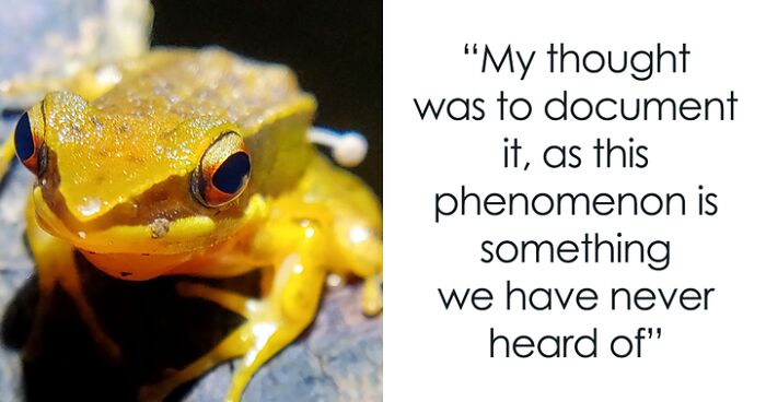 Researchers Are Trying To Figure Out How A Mushroom Is Able To Grow Out Of Frog’s Hip