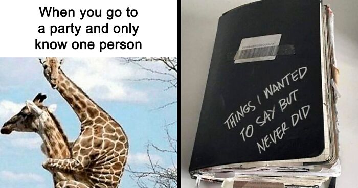 55 Memes That Emanate ‘Introvert Mojo’