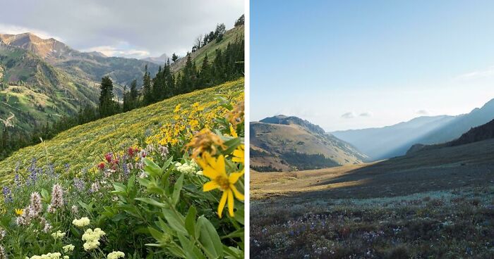 59 Pics Of Dreamy Meadows That Just Radiate Peaceful Energy