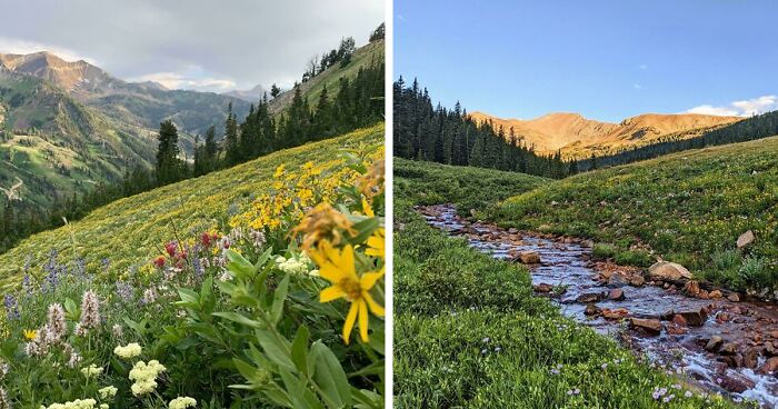 ‘Rate This Meadow’: People Are Sharing The Most Amazing Meadows They’ve Come Across