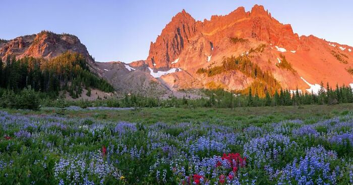 Into The Wild: 59 Breathtaking Meadow Pics Shared In This Online Community