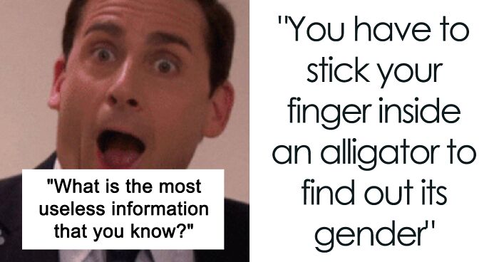 30 Useless Facts That Will Just Take Up Space In Your Head, Unless You’re A Random Trivia Fanatic