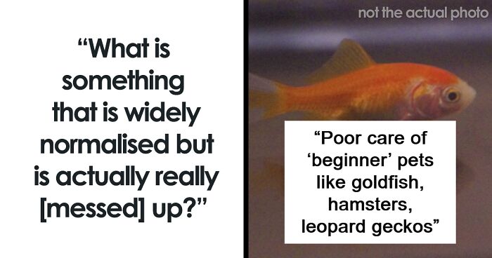 48 People Share Things That Have Been Normalized Despite Being Really Messed Up