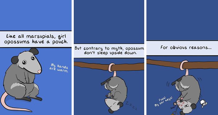 Artist Amanda Panda Illustrates 37 Random Everyday Life Situations In Funny And Relatable Comics