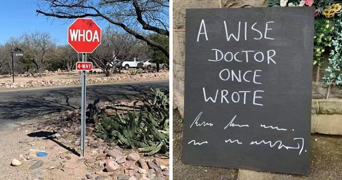 80 Times People Found The Best And Funniest Signs