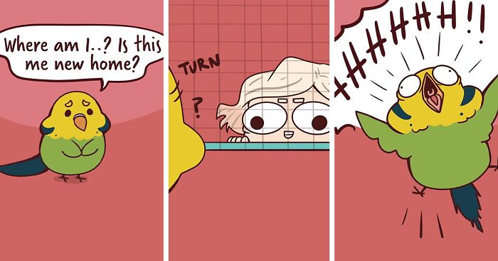 Artist Captures Life's Quirks In 40 Relatable Comics (New Pics)