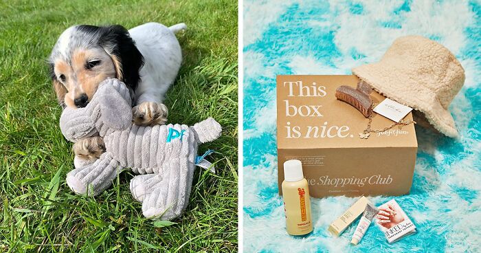 22 Best Subscription Boxes That'll Make Life a Whole Lot Easier