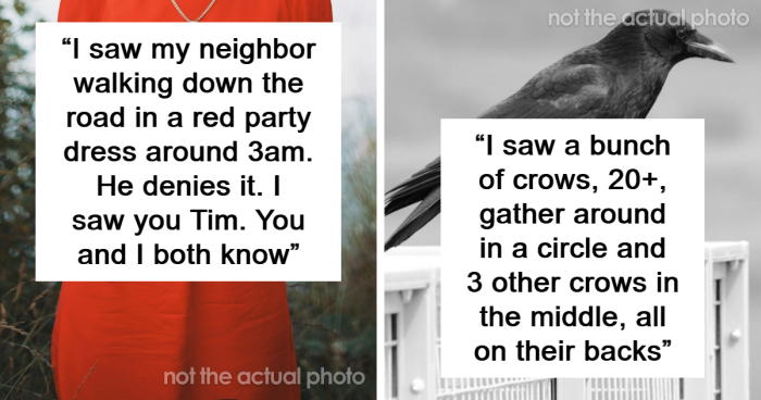 83 Things People Swear They Saw With Their Own Eyes But No One Believes Them