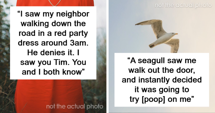 “I've Spent Years Researching”: 83 Things People Swear They Saw But Don’t Have Any Proof Of