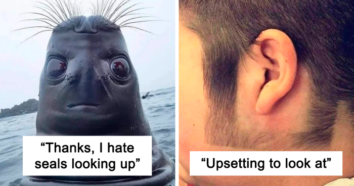 35 Unsettling Pics That Might Immediately Get A “Thanks, I Hate It” Response From You