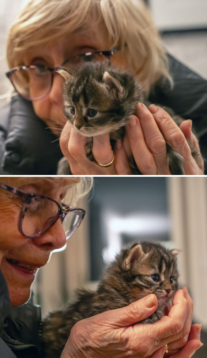 My Niece's Kitten Opened Her Eyes. Here She Is In My Mother's Hands