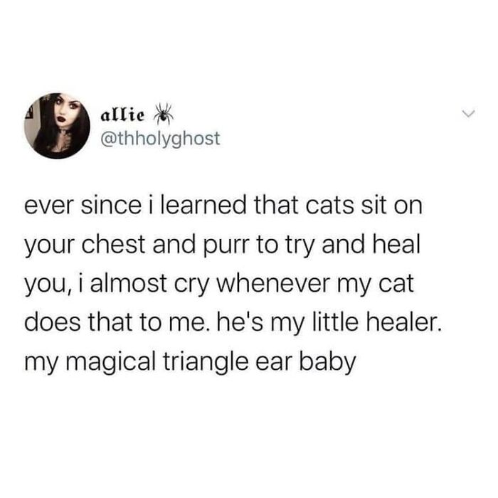 My Precious Little Healer