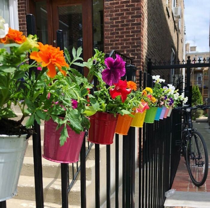 Bloom With Charm: Colourful Metal Hanging Pots For Garden Delights!