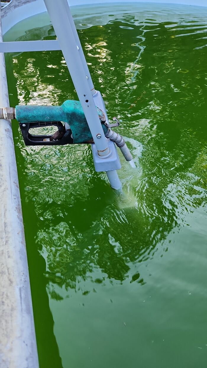 Autofilling My Pool With An Old Diesel Handle