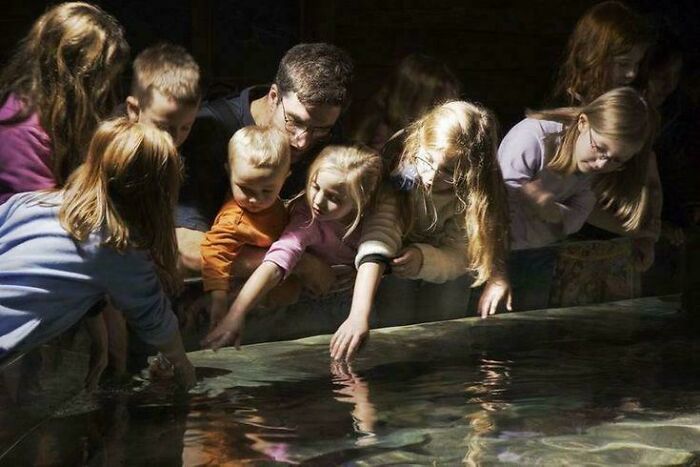 Children At The Aquarium