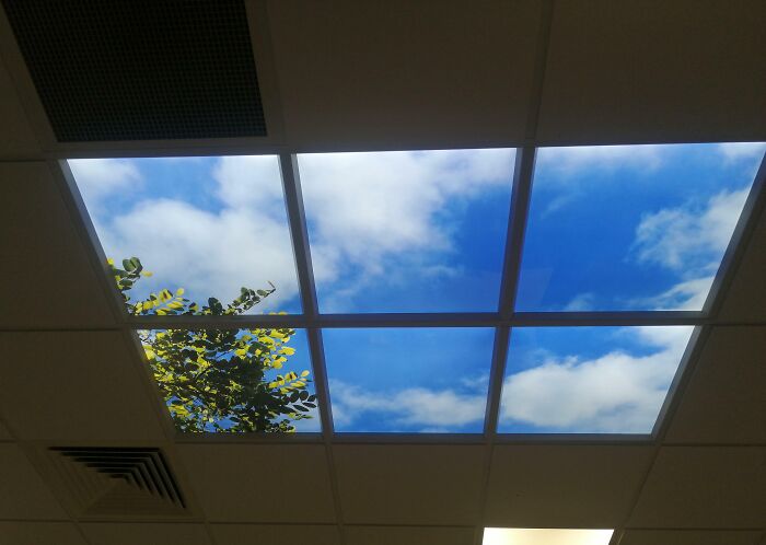 The "Skylight" In Our Cafeteria. We Have No Windows At All Where I Work, So This Is Their Solution