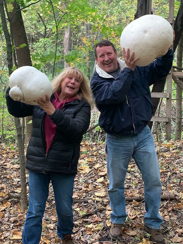 Mom & Dad Went Mushroom Hunting- They Did Okay