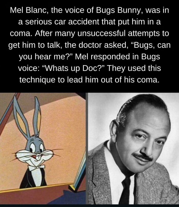 Whats Up Doc