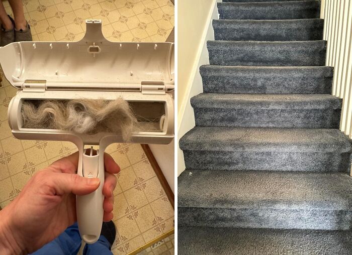 Hand holding a lint and pet hair remover, gray carpeted stairs in a home, showcasing lazy deep cleaning tools.