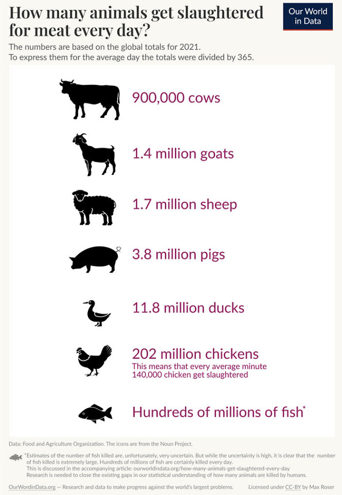 A Cool Guide To The Number Of Animals Slaughtered Per Day On A Global Scale