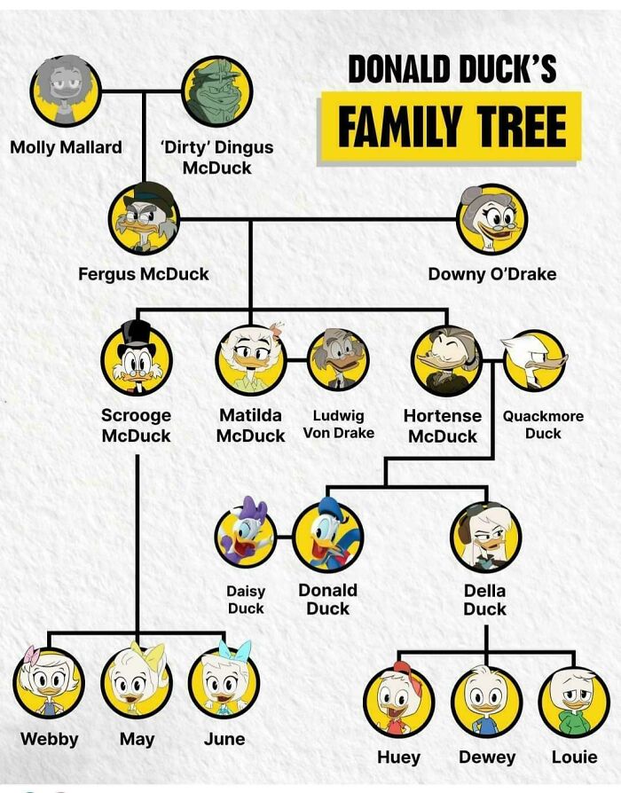 A Cool Guide To Family Tree Of Donald Duck